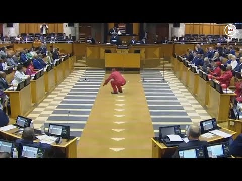 Julius Malema leads with the vosho as EFF MPs are sworn in