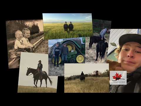 Future of beef farming in Canada