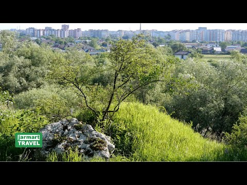 June walk in the Vovchynetsʹki Mountains