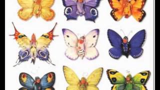 Bobby Goldsboro - A Butterfly For Bucky