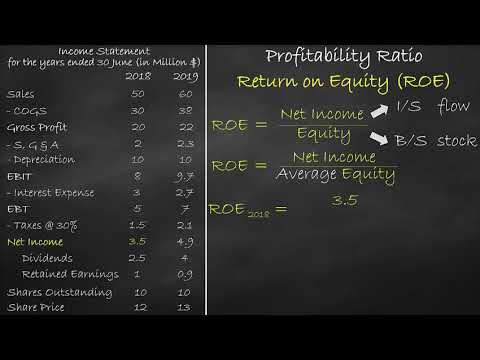 Profitability Ratio - Return on Equity