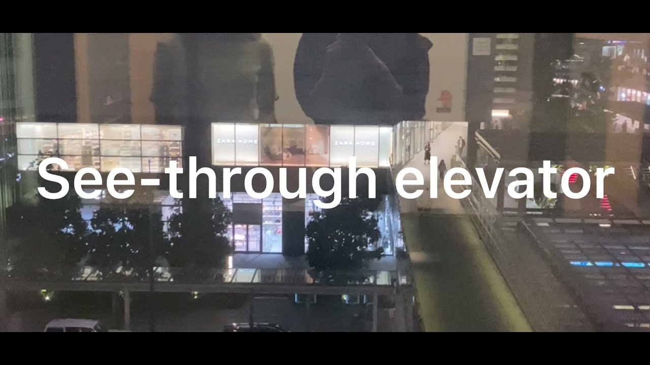 姉と過ごした休日