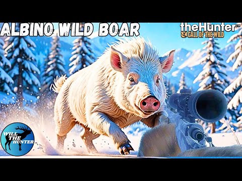 Hunting An Albino Wild Boar On Medved Taiga! | TheHunter Call Of The Wild