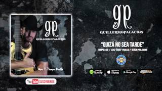 Guillermo Palacios - Quíza no sea tarde ( Audio Oficial )