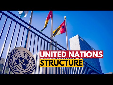 From General Assembly to Secretariat: The United Nations' Structure Explained