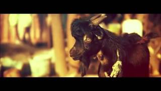 Gentleman Ft. Alborosie -JOURNEY TO JAH (New Video 2017)