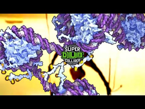 Super Dub Collider - Referendum On The Decimalisation Of Time