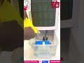 Tutorial On Air Cooler