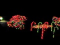 Christmas Lights 2007