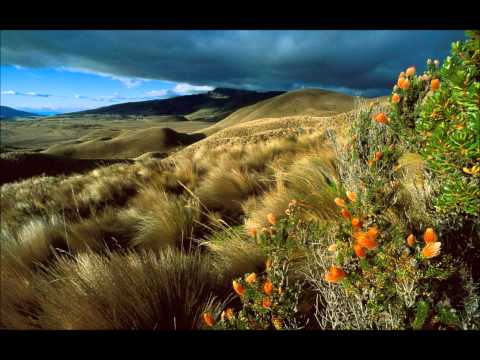 "Muyu Muyari Warmigu" By: Efrain & Rafael