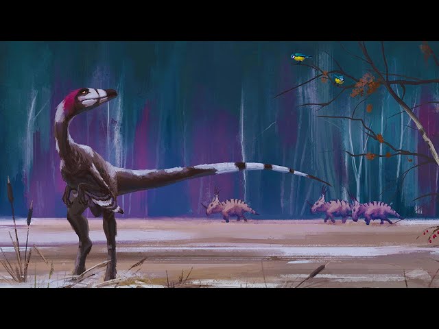 Video pronuncia di pachycephalosaur in Inglese Video pronuncia di pachycephalosaur in Inglese