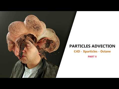 tutorial advection partII