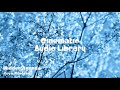 Hidden Agenda Kevin MacLeod No Copyright Music Cinematic Music