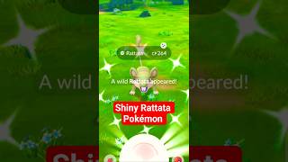 My 1st shiny rattata #pokemongo #pogotv #shinyhunting #shinypokemon #pokemon #pokemonchannel #pogo