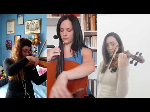 Himna Republike Srbije, Vojvođanski simfonijski orkestar / OstaniteKodKuće