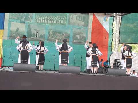 Sarbatorile motilor de la Avram Iancu - 2015  2