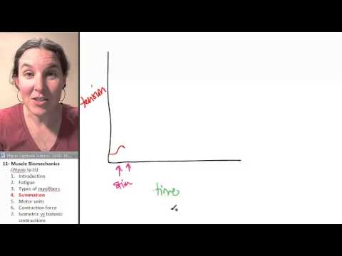 Biomechanics 4- Summation