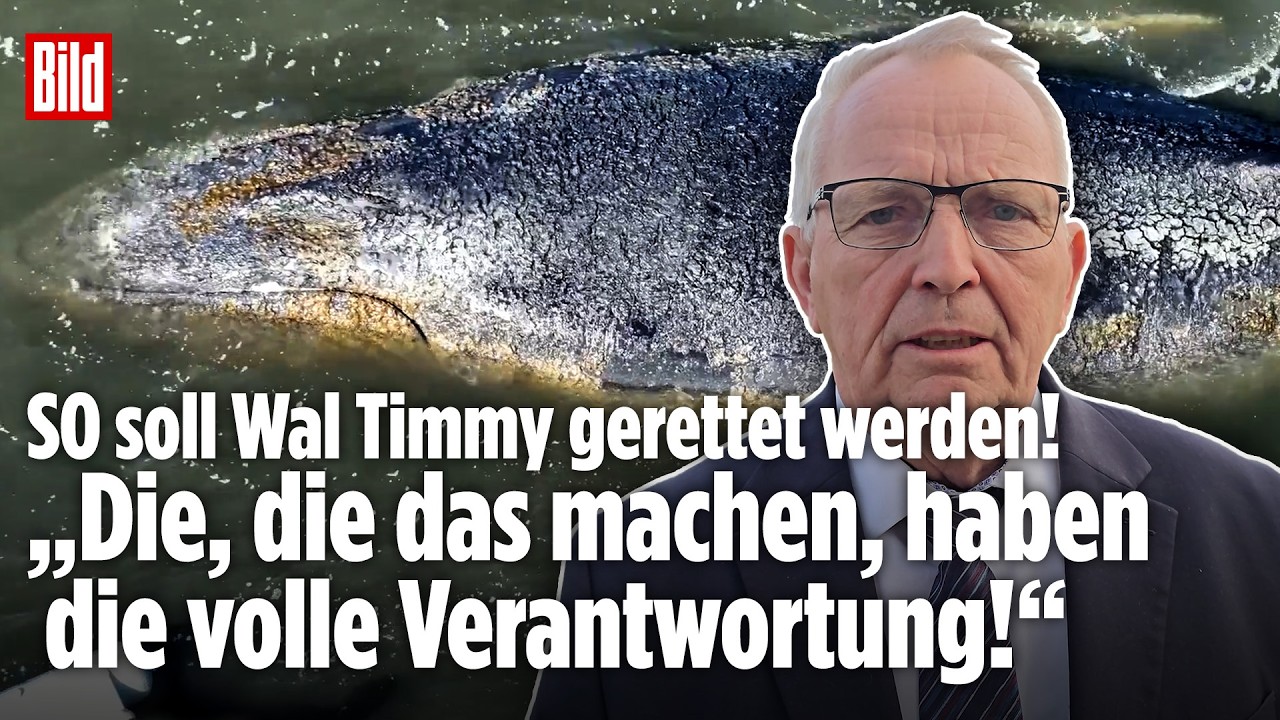 OSTSEE-DRAMA: SO soll Buckelwal Timmy gerettet werden! Minister Till Backhaus zum Verfahren!