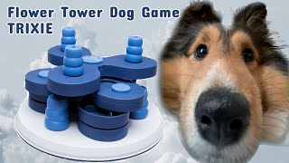 SHELTIE and TRIXIE Flower Tower (Dog Activity)