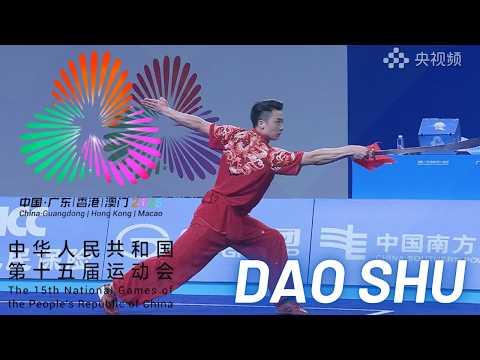 2025 China National Games Wushu Men’s Daoshu Final（第十五届全运会 武术 男子刀术 决赛）