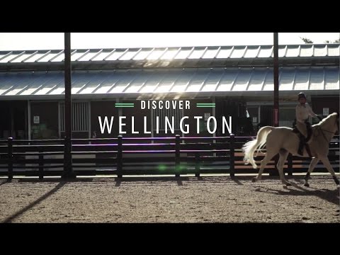 Wellington Video Thumbnail