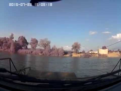 CU BACU'''''LA ULMENI'''' DIFERIT'''