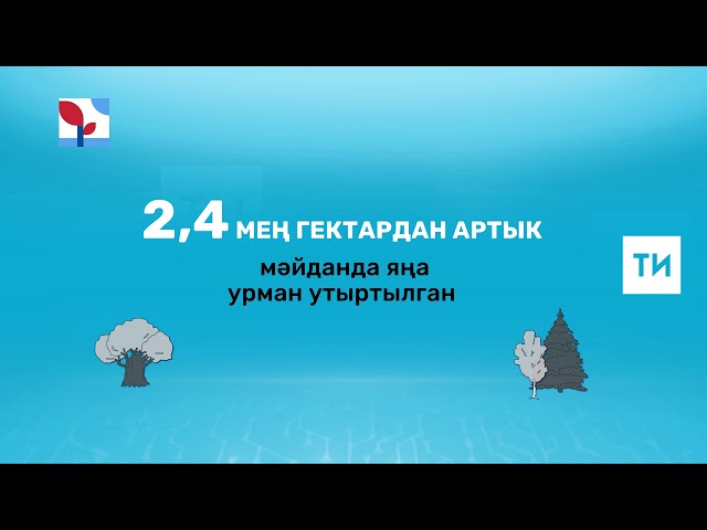 Урманнарны саклыйк!