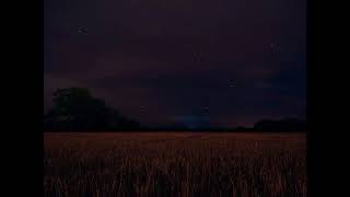 You Love Me Kimya Dawson Gentle Daycore