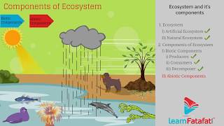 Our Environment Class 10 Science Chapter 15 - Ecosystem and Its Component