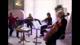 Stillwater String Quartet - Ashokan Farewell/Twilight and Mist