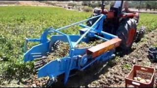 preview picture of video 'HARVEST POTATOES IN KARPATHOS 2010'