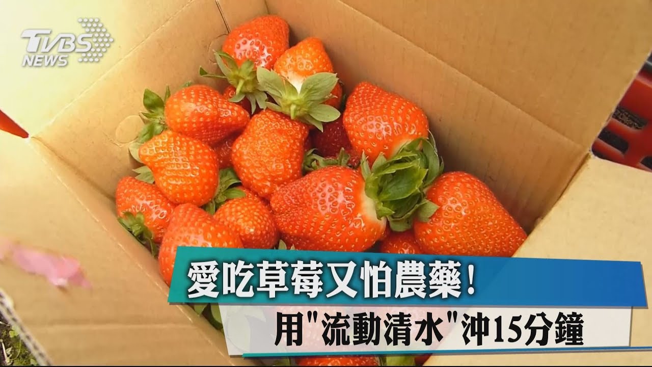 愛吃草莓又怕農藥！　用「流動清水」沖15分鐘