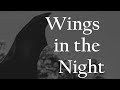 Solomon Kane Wings In The Night By Robert E Howard Audiobook Robertehoward Solomonkane