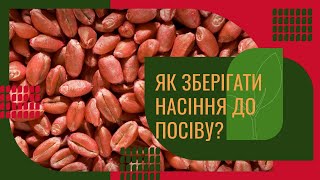 youtube_image