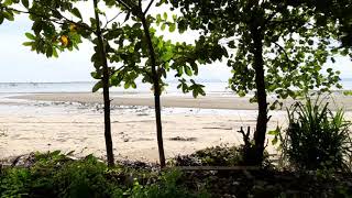 Beach Road Property - Nearly 10 Rai of Land for Sale in Popular Tourist Area of Nong Thaley