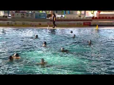 team lombardia rho - hst