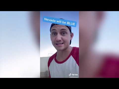 2020 Presidential Election MEMES