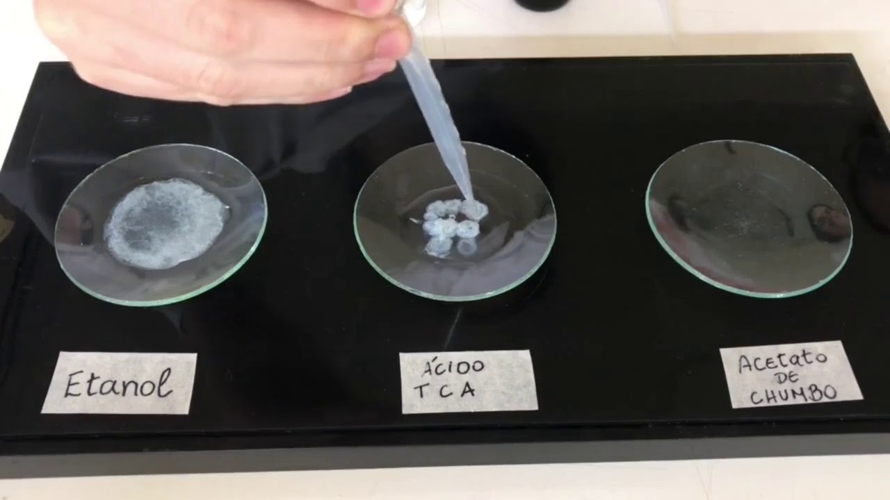 Proteínas na prática - Bioquímica