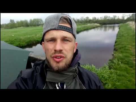 Aale Tag und Nacht   kuriose Ereignisse S2 F4#angeln #fishing #aal #eel #fishingvideo #nightfishing