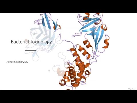 Bacterial Toxinology -- Ju Hee Katzman, MD