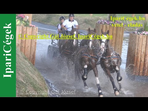 Fogathajtás, SCHNEIDERS Daniel (2), AUT, 7s, Marathon, 4K, Bp, 2021, sv4K210904-1-1870-2209121