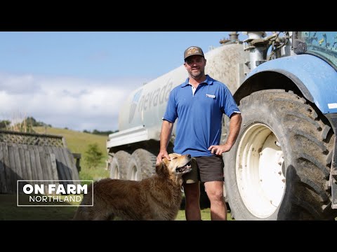 ON FARM with Logan Hewlett in Mata, Northland