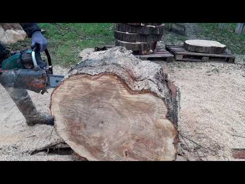 Dolmar cc 116 attacking a 80 cm log with a 65 cm bar