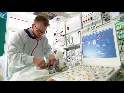 Krankenpfleger studiert Medizin ohne Abitur | SWR | Landesschau Rheinland-Pfalz