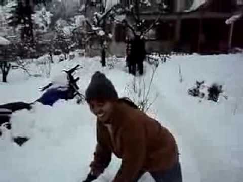 Honeymoon Couple Shimla Kullu Manali Travels in pune .Mob.8888505138