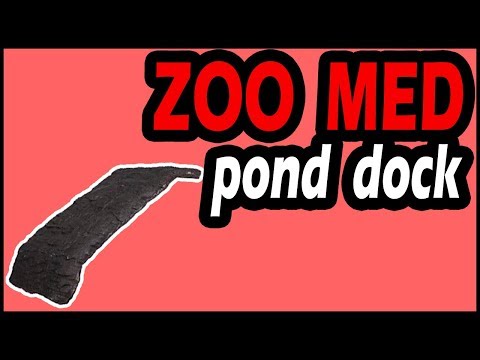 Zoo Med Turtle Pond Dock (Best For Ponds?)