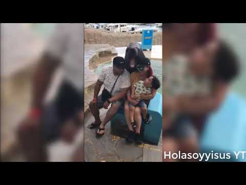 El lobo de mar más FIGURETI del mundo!!!