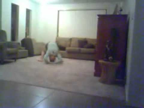 The Braids - Bohemian Rhapsody.