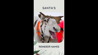 All Santa's Reindeer Names 🎅 #shorts