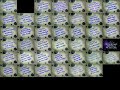 Spongebob Season 1 Title Cards Played At Once